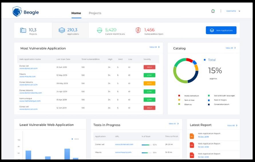 Website security audit dashboard identifying vulnerabilities, outdated software and security configuration issues.